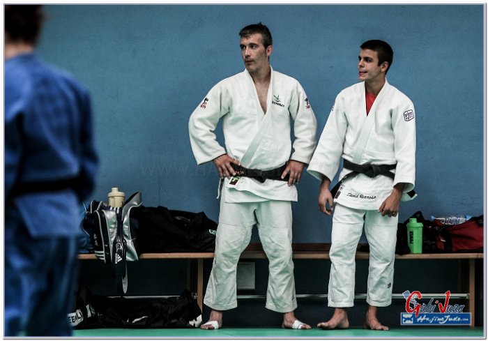 STAGE JUDO MADRID 14 00119